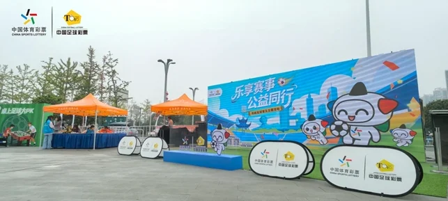 浙江省体育彩票：新手入门与公益指南